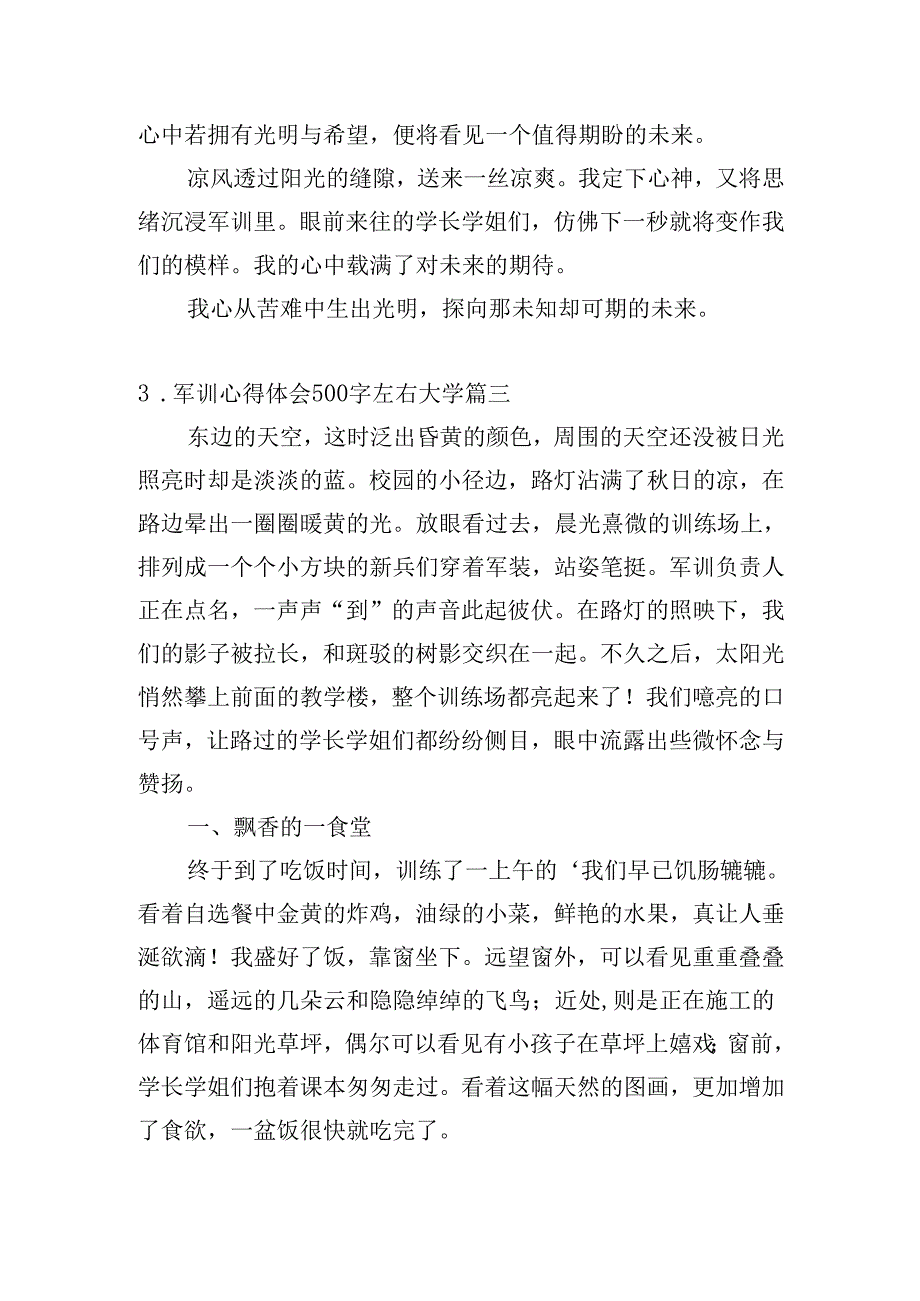 军训心得体会500字左右大学（精选30篇）.docx_第3页