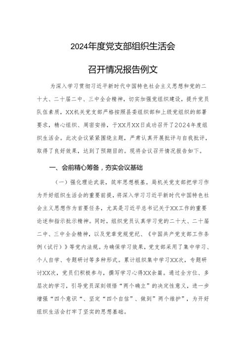 2024年度党支部组织生活会召开情况报告范文.docx