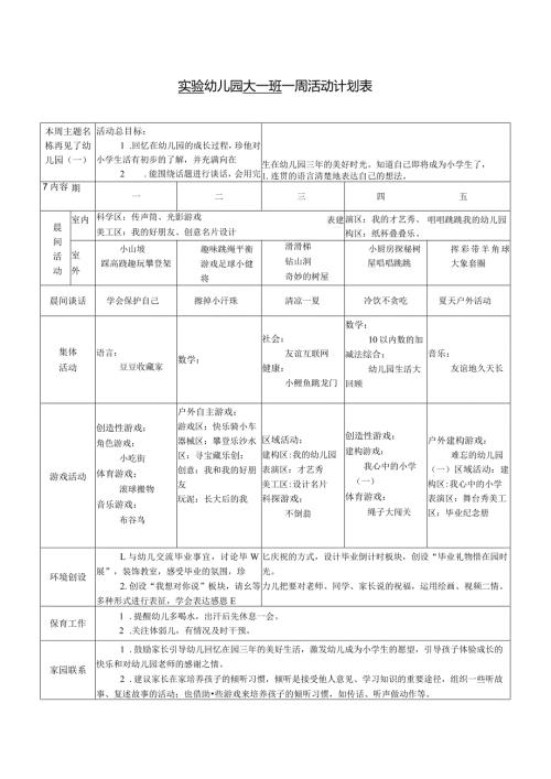 实验幼儿园大一班一周活动计划表.docx
