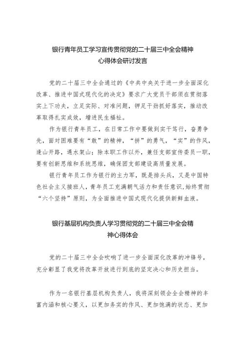 （9篇）银行青年员工学习宣传贯彻党的二十三中全会精神心得体会研讨发言（最新版）.docx