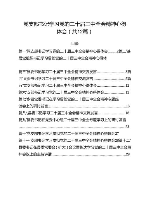 党支部书记学习党的二十三中全会精神心得体会（共12篇选择）.docx