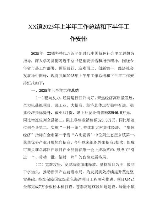 2025年上半年工作总结和下半年工作安排.docx