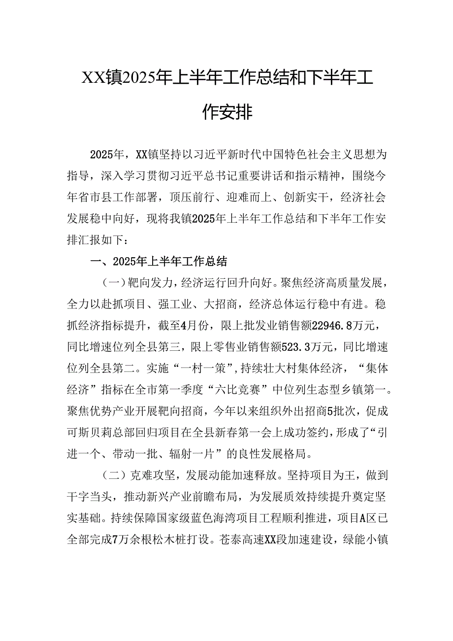 2025年上半年工作总结和下半年工作安排.docx_第1页