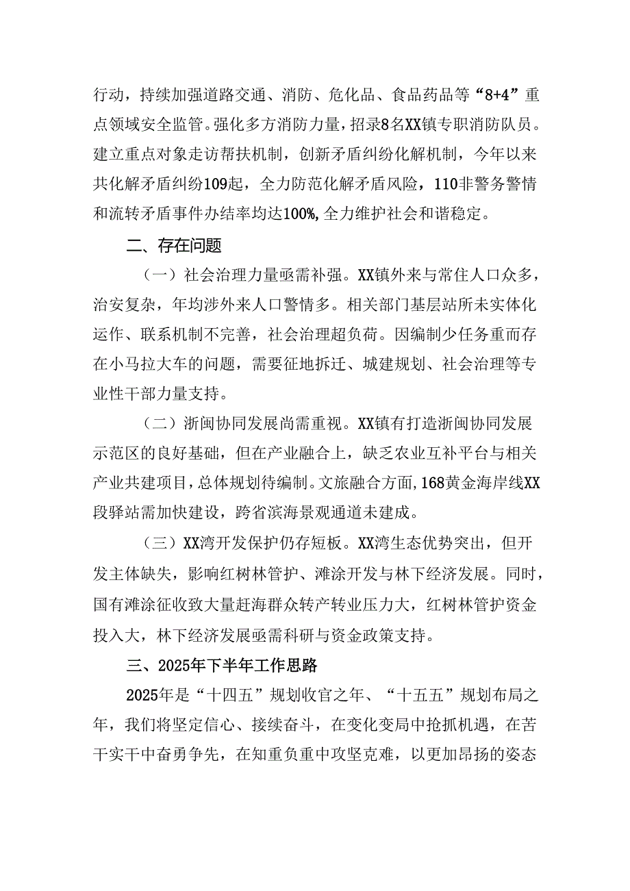 2025年上半年工作总结和下半年工作安排.docx_第3页