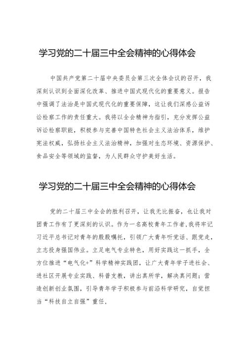 学习贯彻2024年二十三中全会精神心得体会简短发言32篇.docx