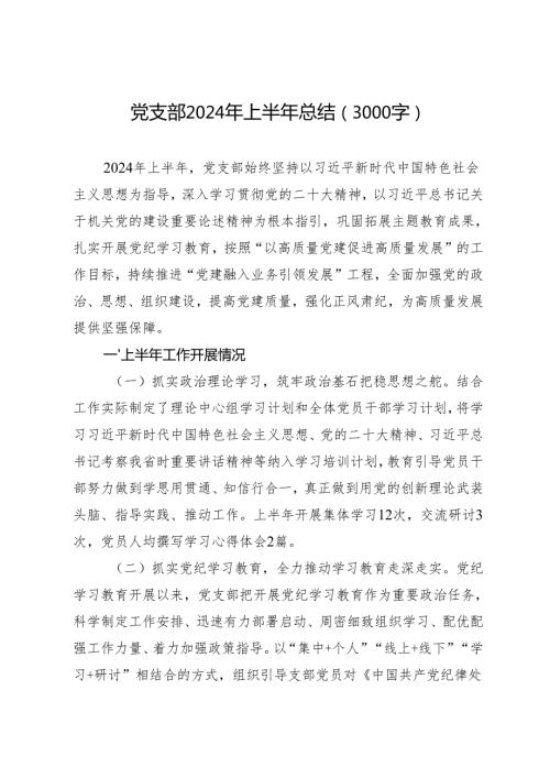 专项工作总结∣半年总结：党支部2024年上半年总结（3000字）.docx