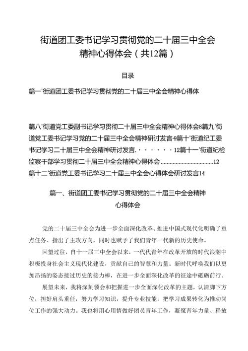 街道团工委书记学习贯彻党的二十三中全会精神心得体会12篇供参考.docx