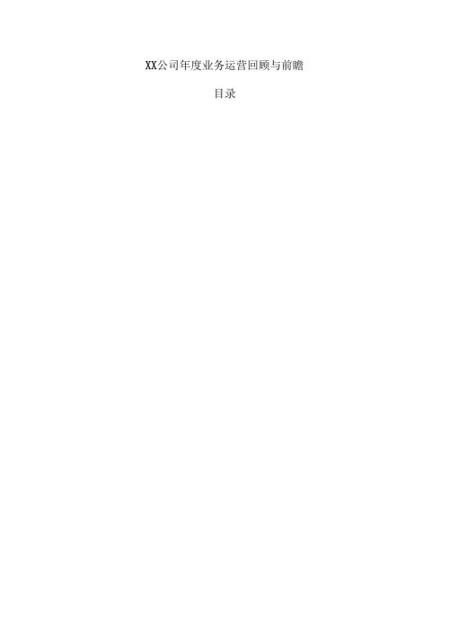 XX公司业务运营回顾与前瞻.docx
