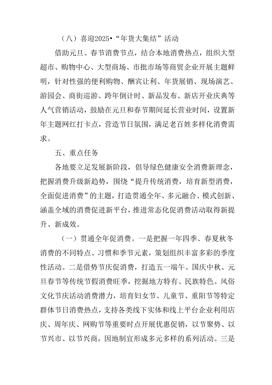 2025年开展《提振消费》专项行动方案 （4份）.docx_第3页