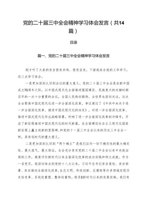 党的二十三中全会精神学习体会发言14篇（详细版）.docx
