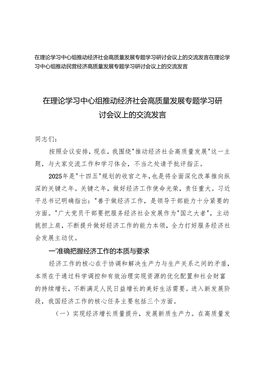 2篇 2025年在理论学习中心组推动经济社会高质量发展专题学习研讨会议上的交流发言.docx_第1页