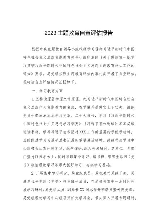第二批主题教育开展情况自查评估报告.docx