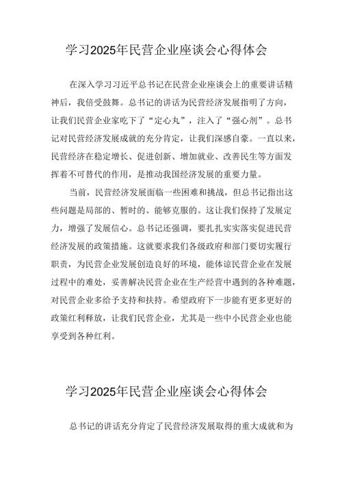 2025年私营企业学习民营企业座谈会个人心得感悟 （合计11份）.docx