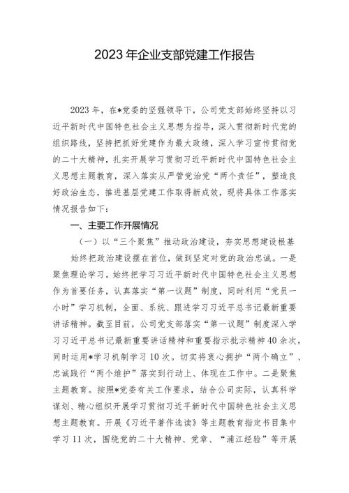 2023年企业支部党建工作报告.docx