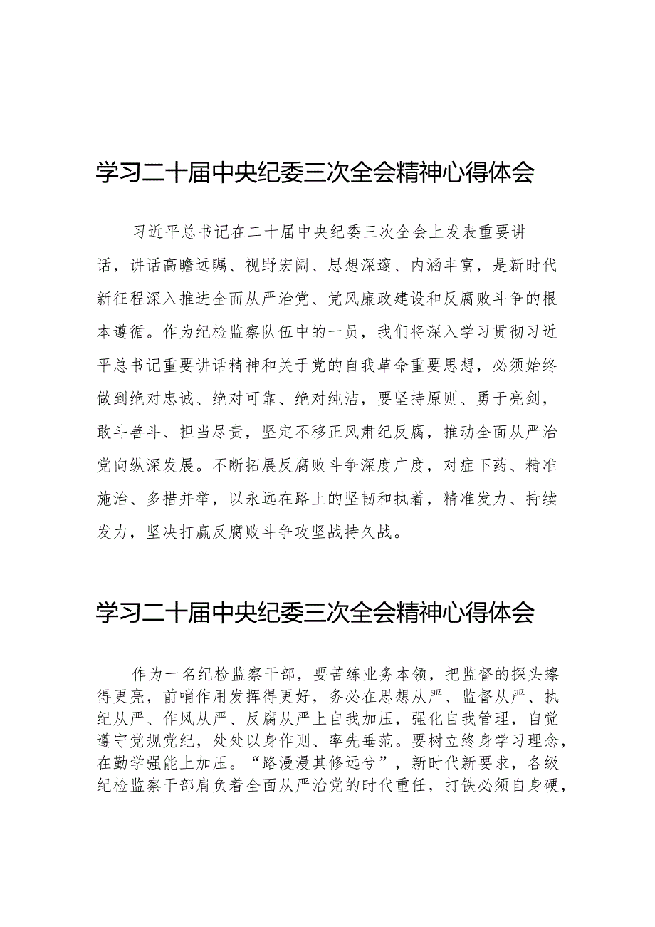 纪检人员学习贯彻二十中央纪委三次全会精神的心得体会二十篇.docx_第1页