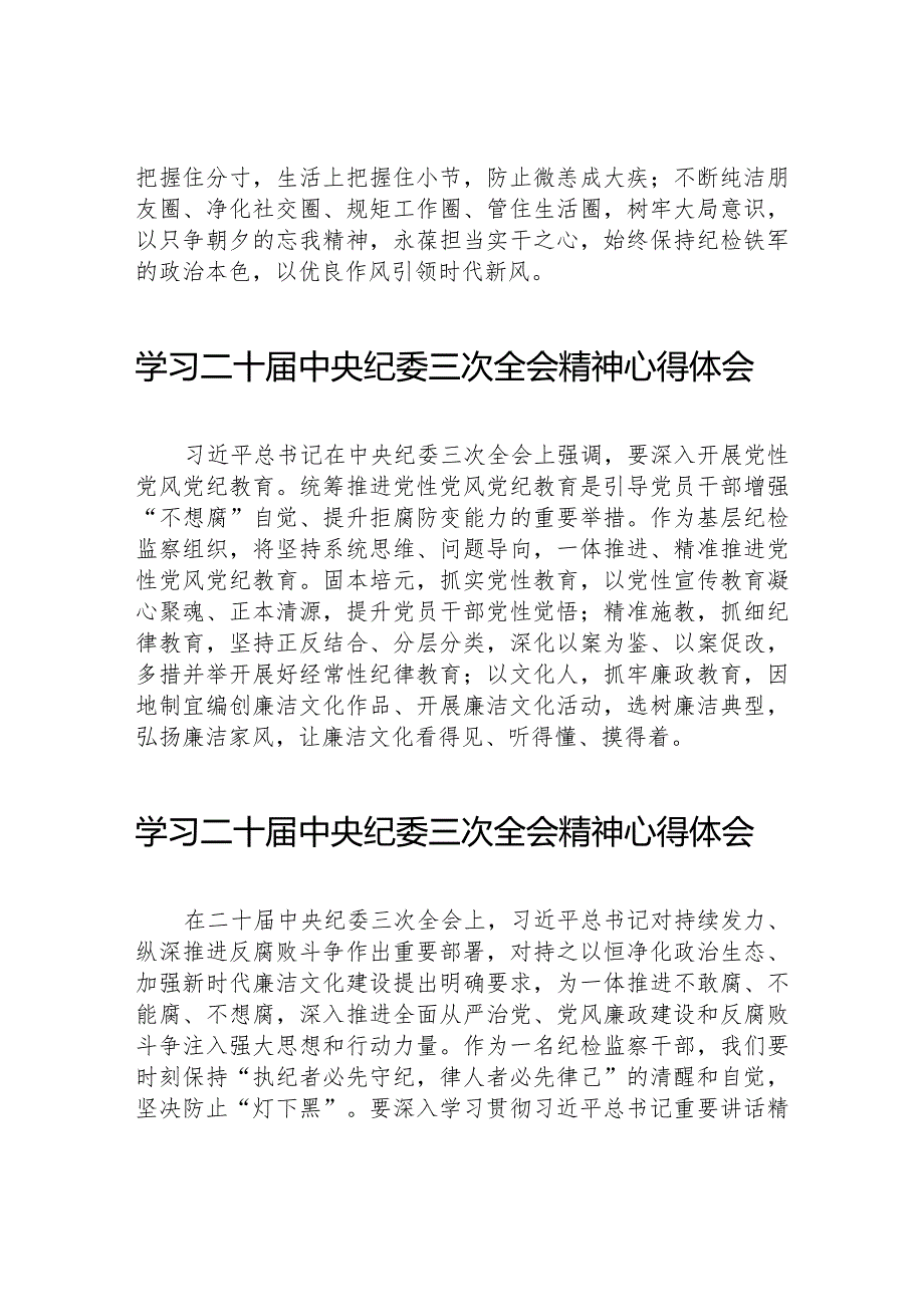 纪检人员学习贯彻二十中央纪委三次全会精神的心得体会二十篇.docx_第3页