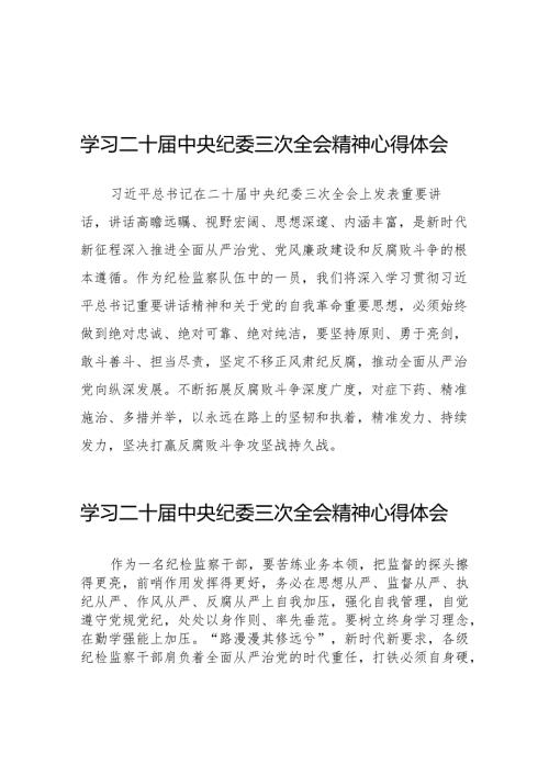 纪检人员学习贯彻二十中央纪委三次全会精神的心得体会二十篇.docx