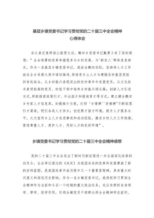 （9篇）基层乡镇党委书记学习贯彻党的二十三中全会精神心得体会通用精选.docx