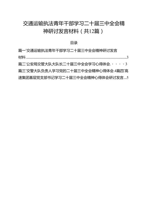 交通运输执法青年干部学习二十三中全会精神研讨发言材料12篇（精选）.docx