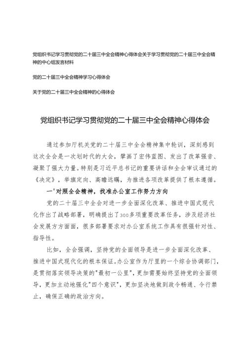 20242025年党组织书记学习贯彻党的二十三中全会精神心得体会.docx
