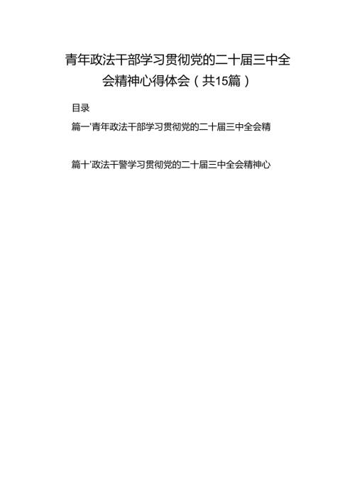 （15篇）青年政法干部学习贯彻党的二十三中全会精神心得体会范文.docx