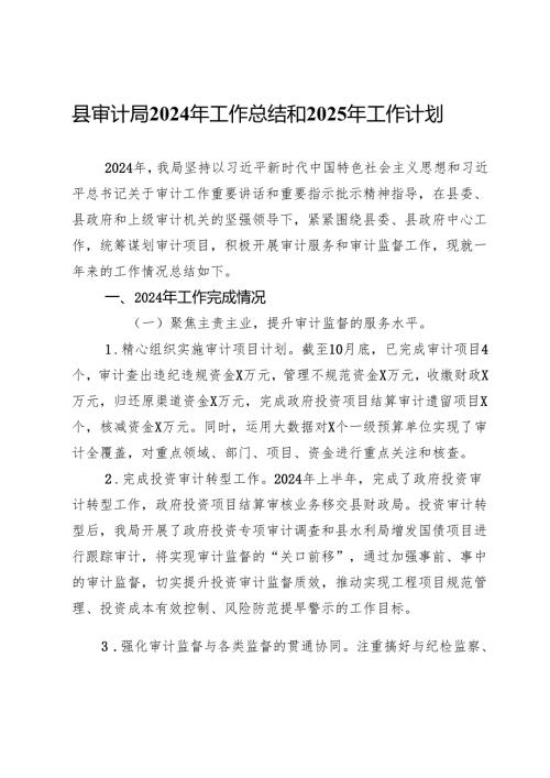 县审计局2024年工作总结和2025年工作计划.docx