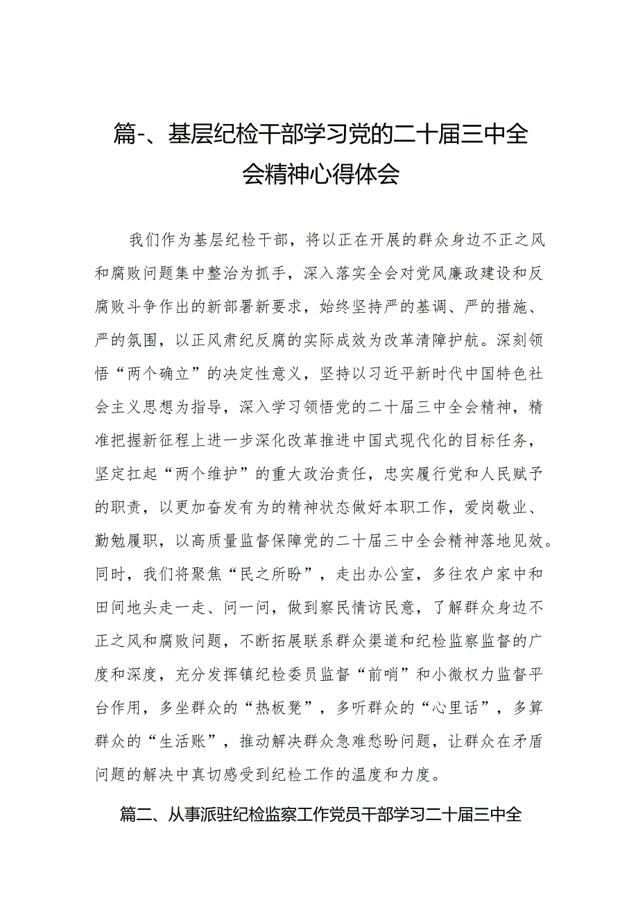 （10篇）基层纪检干部学习党的二十三中全会精神心得体会（精选）.docx_第2页