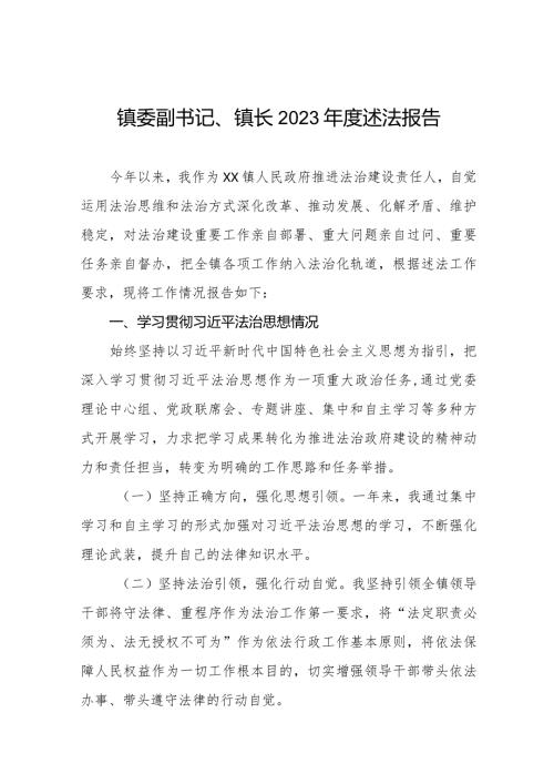 镇委副书记、镇长2023述法报告五篇.docx