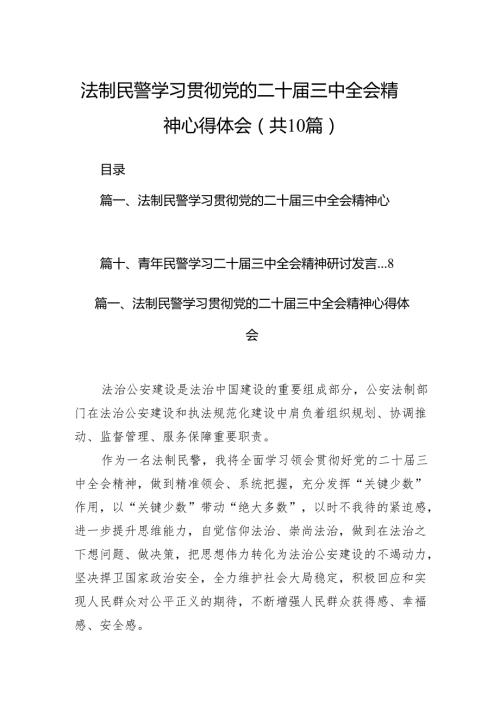 （10篇）法制民警学习贯彻党的二十三中全会精神心得体会（最新版）.docx