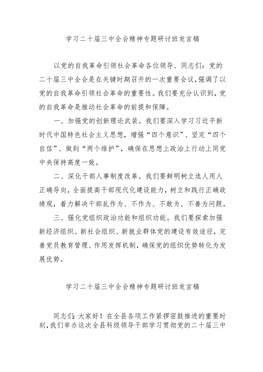 2024年开展学习二十三中全会精神专题研讨班发言稿(1).docx_第1页