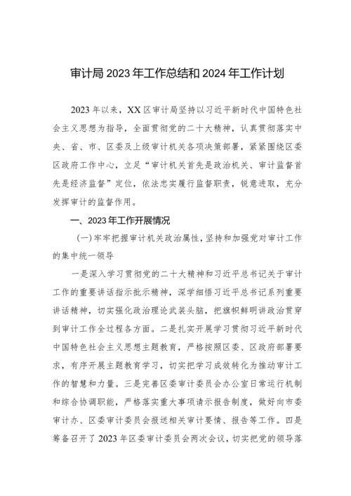 区审计局2023年工作总结和2024年工作计划四篇.docx