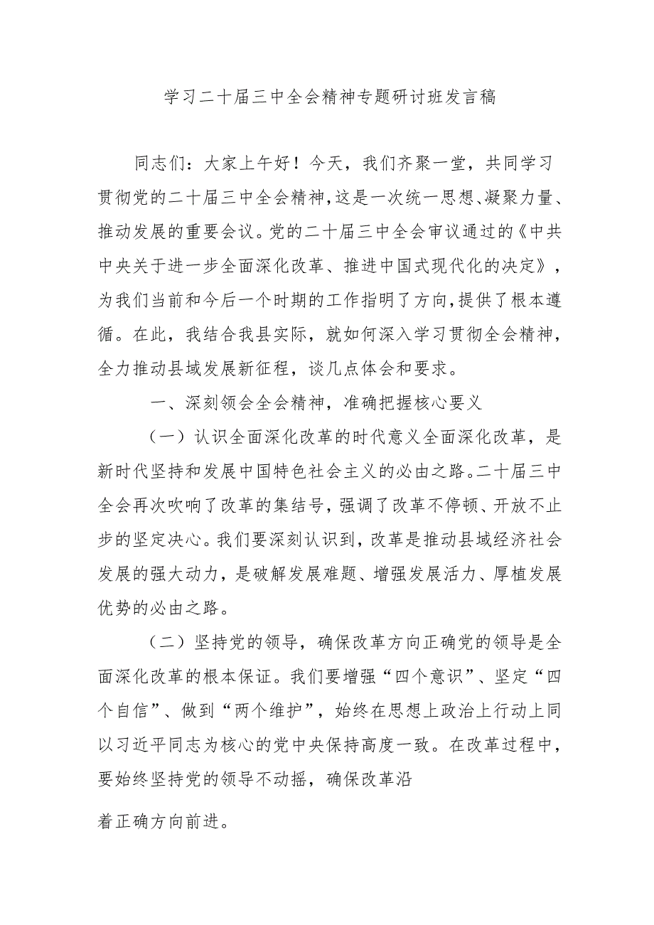 2024年开展《学习二十三中全会精神》专题研讨班发言稿(1).docx_第1页