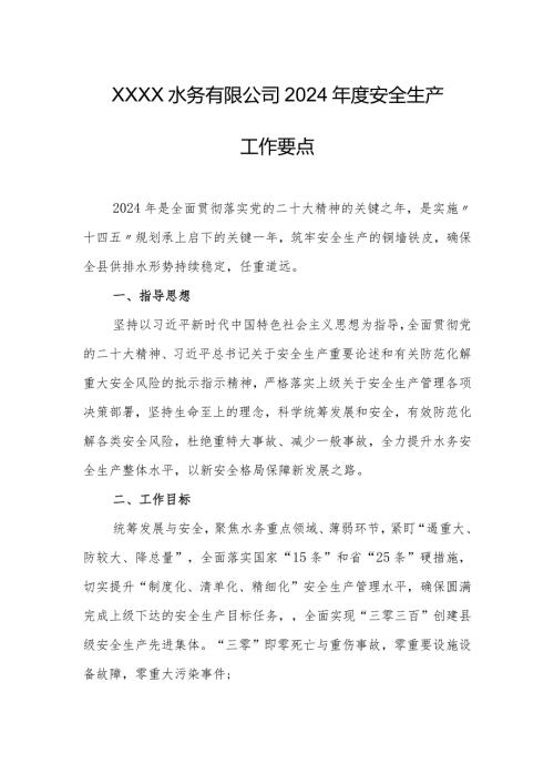 水务有限公司2024安全生产工作要点.docx
