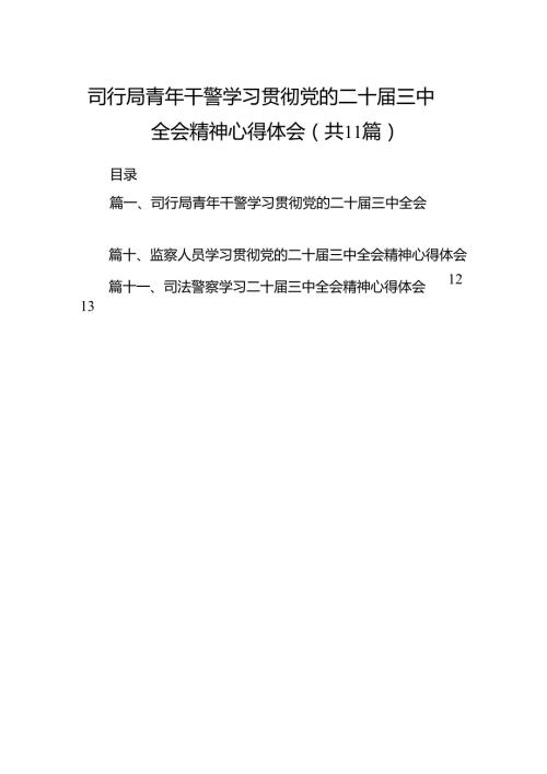 （11篇）司行局青年干警学习贯彻党的二十三中全会精神心得体会范文.docx