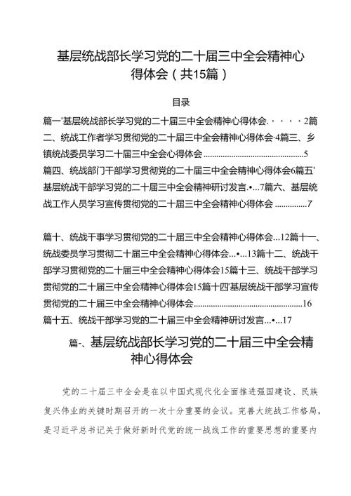 （15篇）基层统战部长学习党的二十三中全会精神心得体会（详细版）.docx