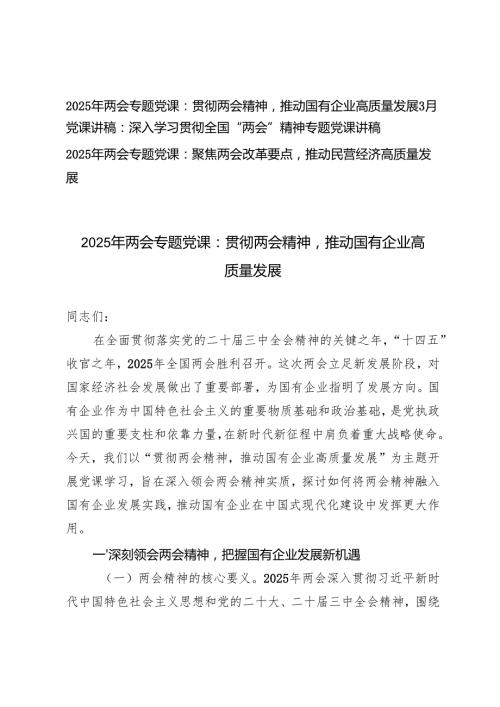 2025年全国“两会”精神专题党课讲稿（贯彻两会精神推动国有企业高质量发展；聚焦两会改革要点推动民营经济高质量发展）.docx