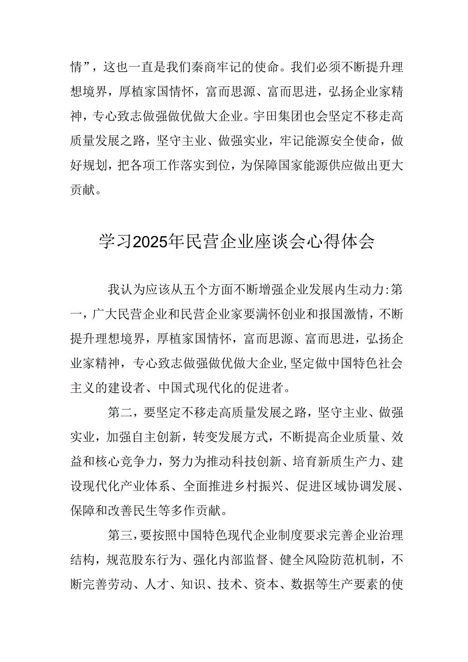 2025年私营企业学习《民营企业座谈会》个人心得感悟 （合计11份）.docx_第2页