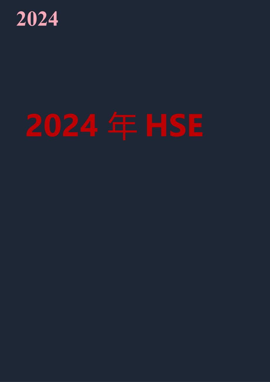 2024年 HSE工作五定计划.docx_第1页