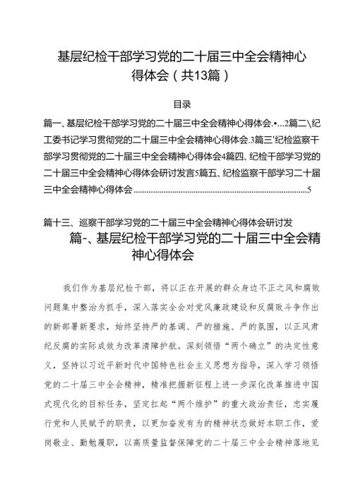 （13篇）基层纪检干部学习党的二十三中全会精神心得体会（精选）.docx