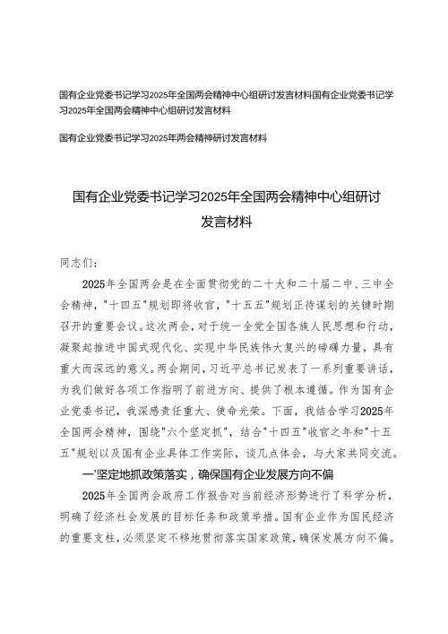 3篇 国有企业党委书记学习2025年全国两会精神中心组研讨发言材料.docx