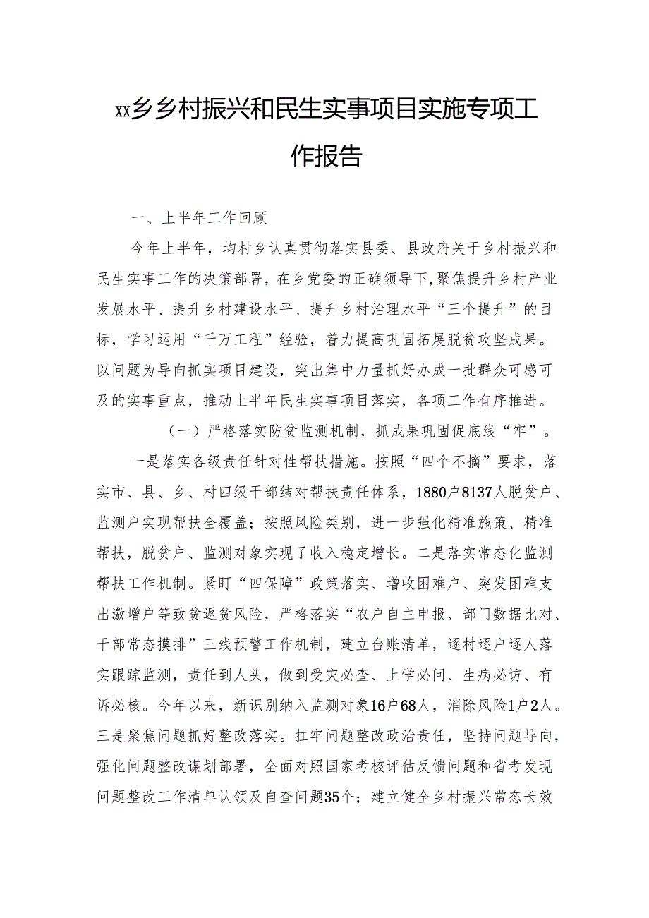 乡村振兴和民生实事项目实施专项工作报告.docx_第1页