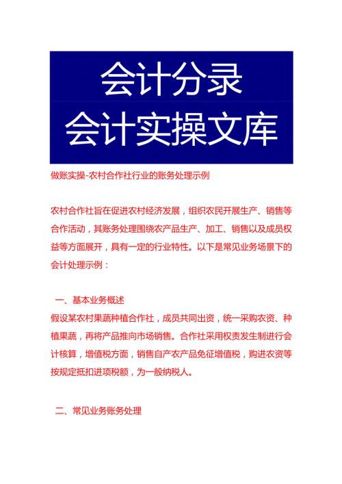 做账实操农村合作社行业的账务处理示例.docx
