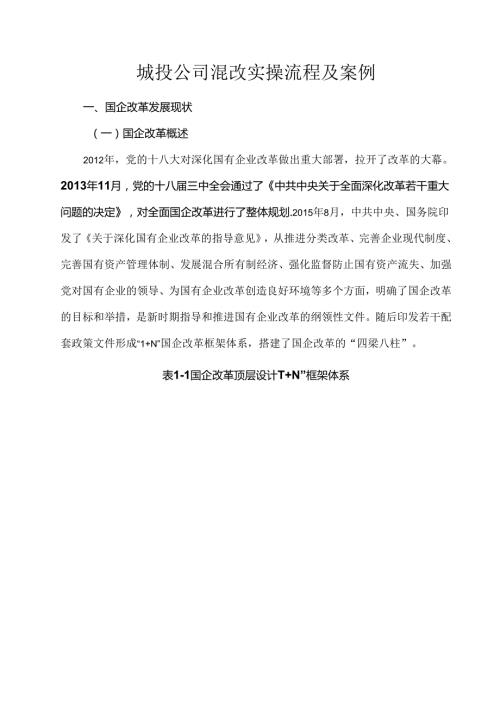 城投公司混改实操流程及案例.docx
