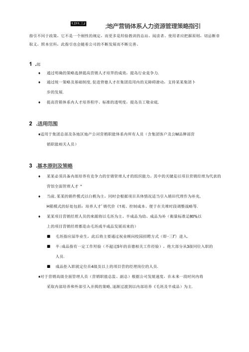 某某地产营销体系人力资源管理策略指引.docx
