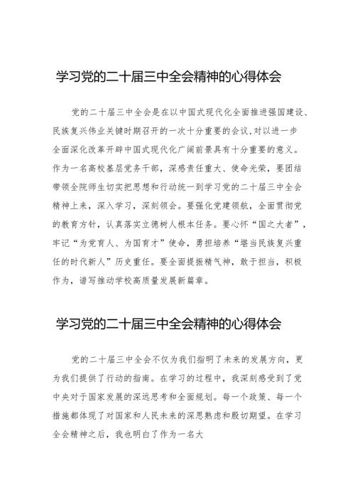学习党的二十三中全会精神的心得感悟交流发言二十六篇.docx