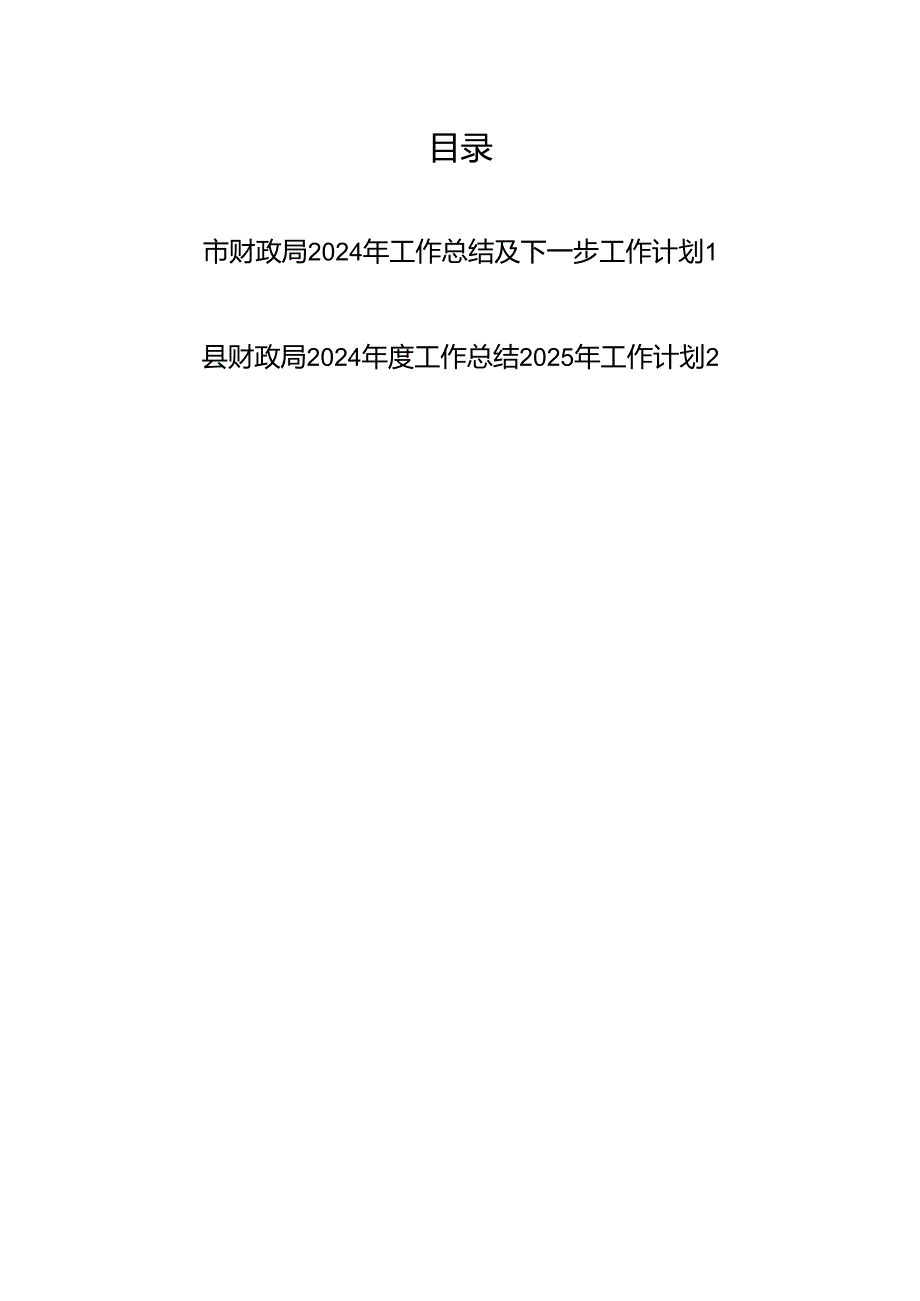 2024年市县财政局工作总结及2025年下一步工作计划2篇.docx_第1页