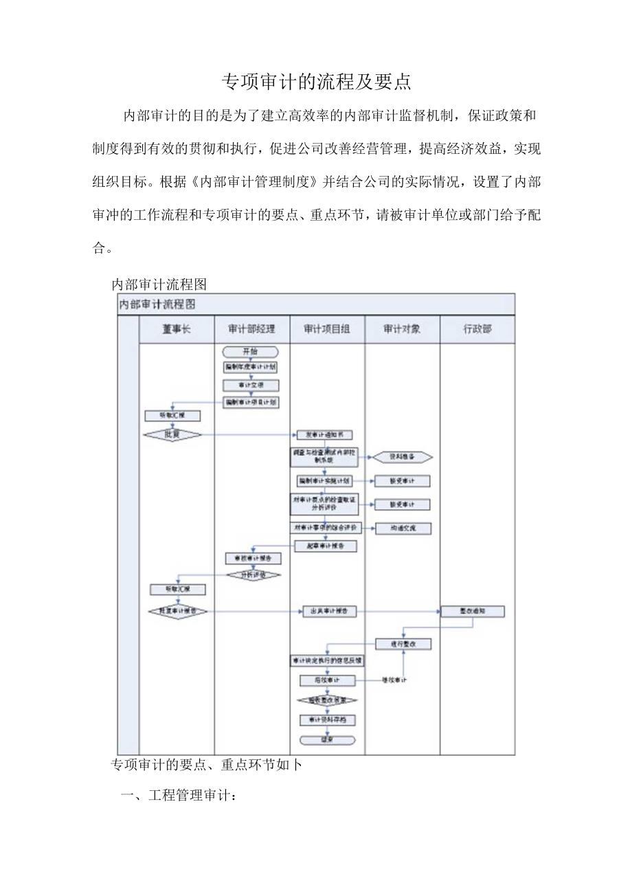 专项审计的流程及要点.docx_第1页