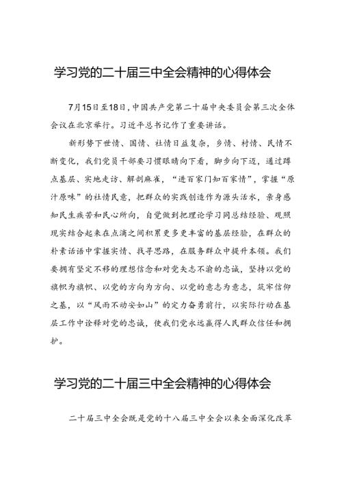 学习观看二十三中全会精神的心得体会十四篇.docx