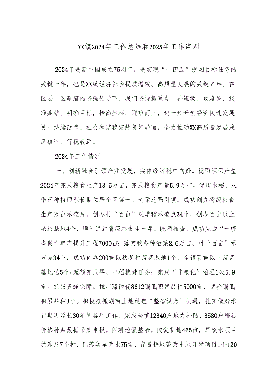 XX镇2024年工作总结和2025年工作谋划.docx_第1页