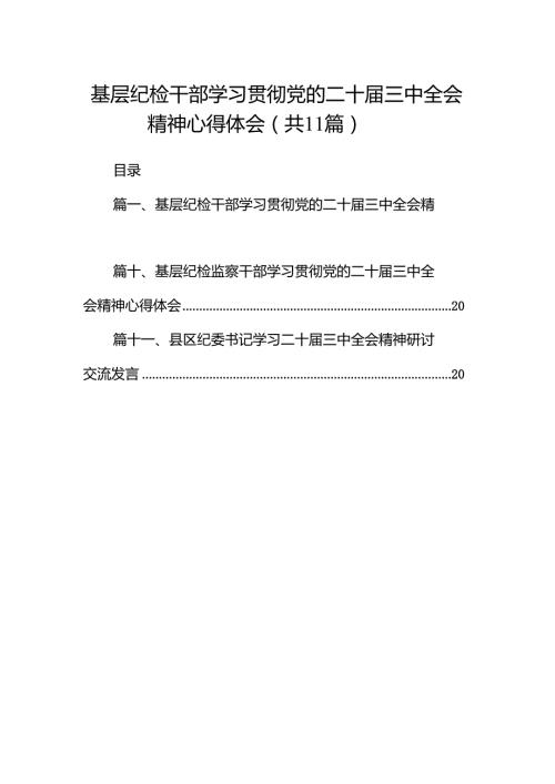 （11篇）基层纪检干部学习贯彻党的二十三中全会精神心得体会（最新版）.docx